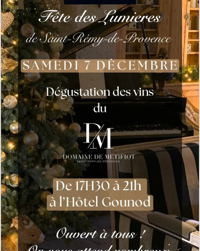 Nous serons ravis de vous accueillir dans notre bar pour une dégustation des vins du @domainedemetifiot ce samedi à l’occasion de la fête des commerçants de Saint Rémy de Provence. 
18, place de la république, face à la collégial. De 18h à 21h.

#hotelgounod #domainedemetifiot #degustation #fetedescommerçants #noel #saintremydeprovence